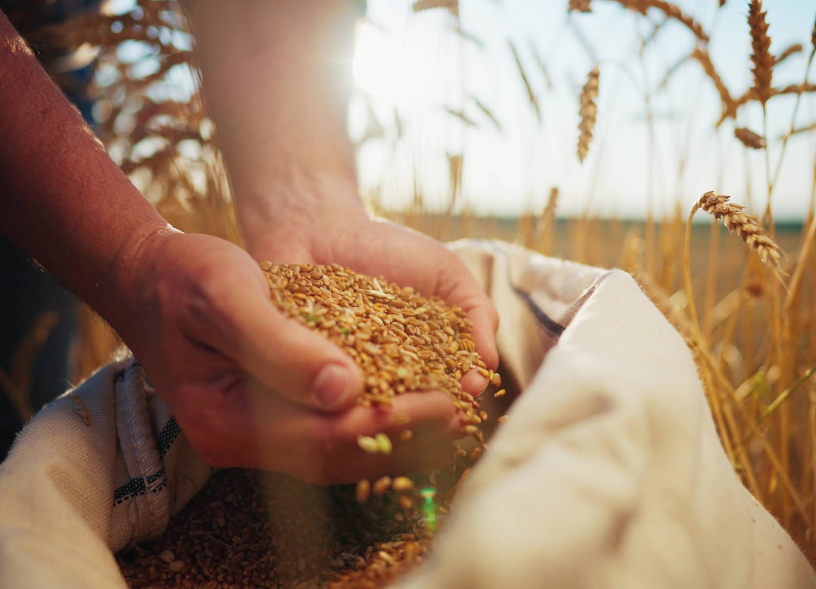 agence marketing digital casablanca